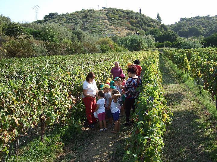 Santa Lucia del Mela Agriturismo Parra מראה חיצוני תמונה