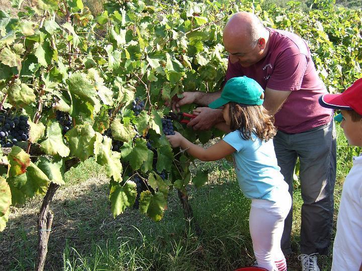 Santa Lucia del Mela Agriturismo Parra מראה חיצוני תמונה